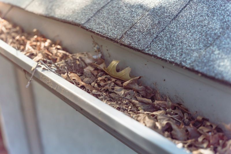 Clogged Gutter with Debris