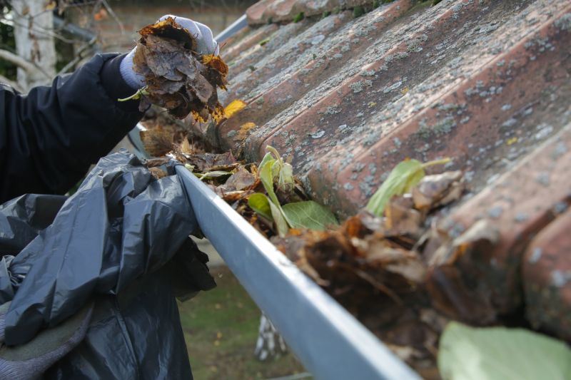 Gutter Cleaning and Maintenance